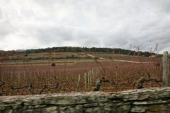 2010_1113_AI.jpg