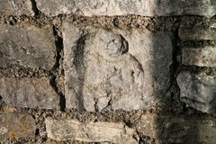 2010_1113_AP.jpg